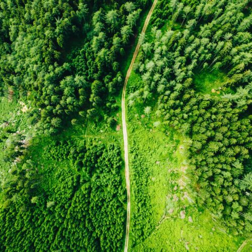 natur-oben natur-oben